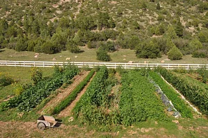 Agroecology at UWC 7