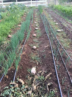 Agroecology at UWC
