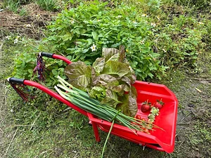 Green Sustainability in Ba Sian 12