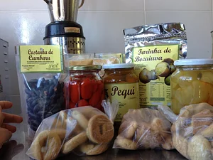 Coleta e beneficiamento de Pequi, Baru, Mangaba, Jatobá e Gueiroba.