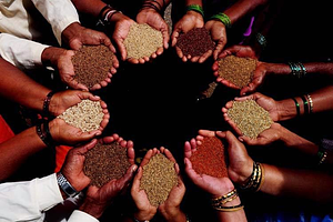Jaivik Haat - Natural & Organic Food
