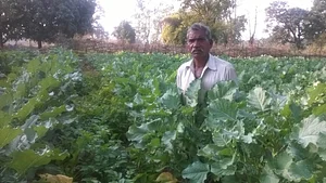 Jaivik Haat - Natural & Organic Food 2