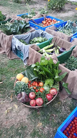 Jaivik Haat - Natural & Organic Food 6