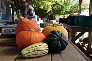 UC Santa Cruz Center for Agroecology Farm