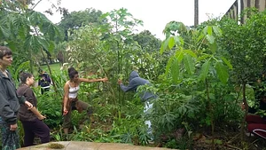 Agrofloresta do CAAMB 3