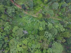 La Gran Vista Agroecological Farm Costa Rica