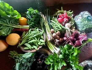 Permaculture Farm in Numbi Valley