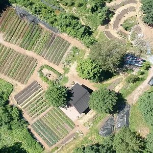 Finch Permaculture Experiment 5