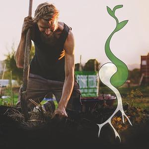 Growing Roots Permaculture