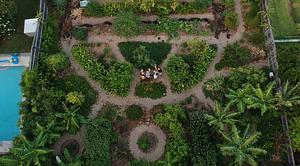 Northey Street City Farm in Brisbane