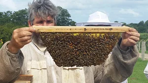 Growing Roots Permaculture Experiences 9