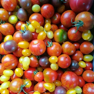 Learning and exploring Agroecology through doing
