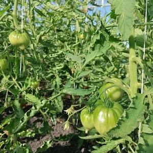 Learning and exploring Agroecology through doing