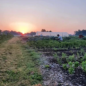 Agroecology Garden in Bennekom