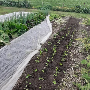 Agroecology Garden in Bennekom
