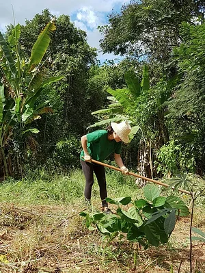 Agrofloresta na Ecovila Conviver 2