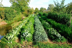 Permaculture du Bec Hellouin