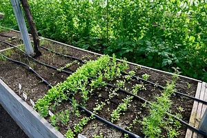 Permaculture du Bec Hellouin