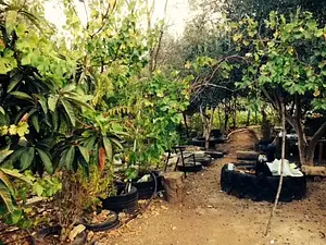 Marda Permaculture Farm