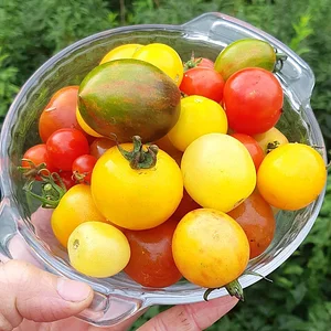 Arcadia Permaculture Farm
