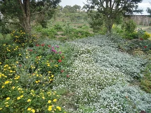 MOOF Africa Permaculture Kenya