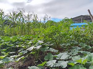 Sentru Agrikola Integradu-Eskola Popular Agroekolojia