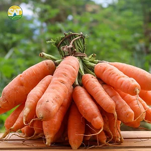 Sustainable Agriculture Tanzania Experiences