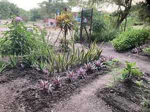 Regenerative farming at Taaru Askan Farm