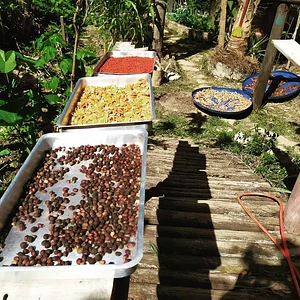 Horta do Sítio Nós na Teia 4