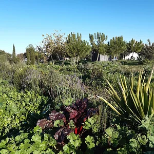 Danyadara Permaculture Farm