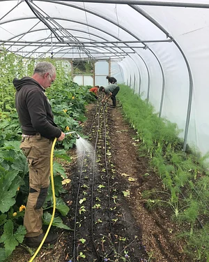 East Neuk Market Garden