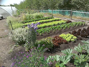 Ecological Land Cooperative Farmers