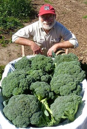 The Food Forest