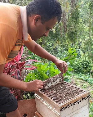 Amrit Kunja Organic Permaculture Farm