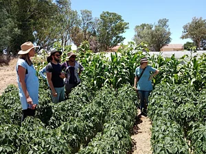 Permaculture at Namibian Organic Association