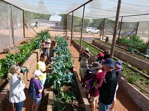 Permaculture at Namibian Organic Association