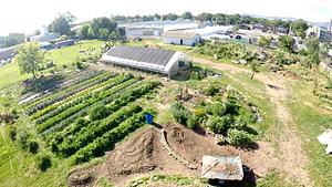 Krishna Food Forest & Farm
