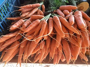 Horta Orgânica Comunitária Girassol
