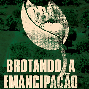 Sitio Brotando a Emancipação