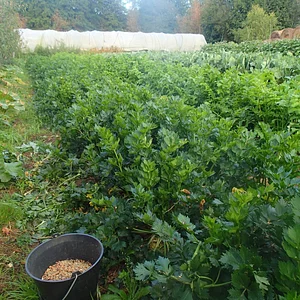 Ferme de La Grande Rivière