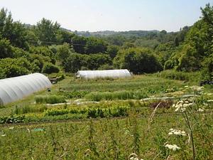 Ragmans Lane Farm