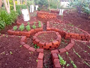 Shagala Organic Permaculture Farm