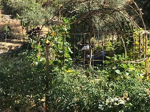 Conscious Earth Permaculture Farm