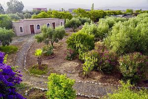 Marrakesh Organics