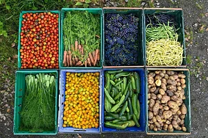Cloughjordan Community Farm