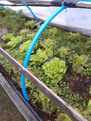Garth Organic Garden