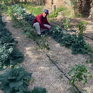 Habiba Organic Farm