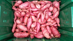 10 acre Agroecological Farm
