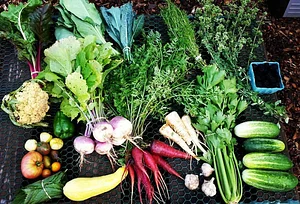 10 acre Agroecological Farm