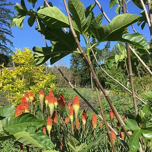 Watercliff Permaculture Farm
